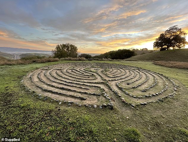 Participants will engage in a variety of daily activities, including watching presentations, guided meditations, visualization exercises and journal writing.